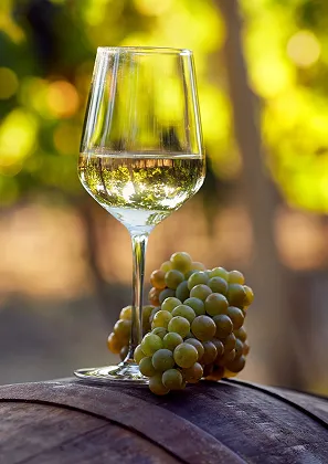 Verre de vin avec grappe de raisin à Bourges dans le Cher 18 